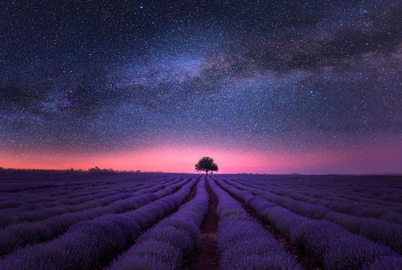 Starlight Canyon: Galactic Wonder